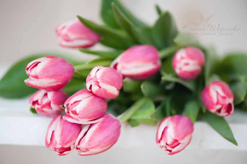 Лариса Махнева фотография #13