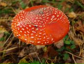 Фотография Маляевой Виктории