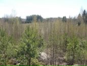 Иван Амельченко фотография #29 (источник - https://vk.com/id684343)