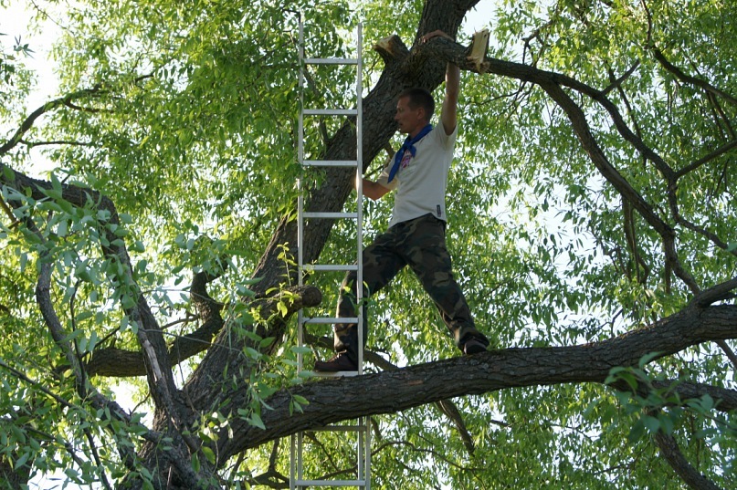 Юрий Сергеев фотография #39
