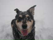 Фотография Путиловой Яны