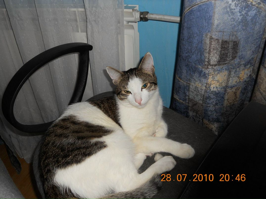 Дмитрий Шигин фотография #23