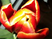 Фотография Курносовой Светланы