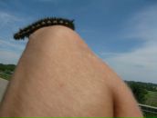 Лида Антоненко фотография #24 (источник - https://vk.com/id233774)