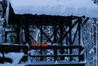 Фотография Лаптевой Екатерины