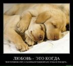 Лєна Павлюк фотография #24 (источник - https://vk.com/id22274960)