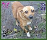 Руслан Пірог фотография #1