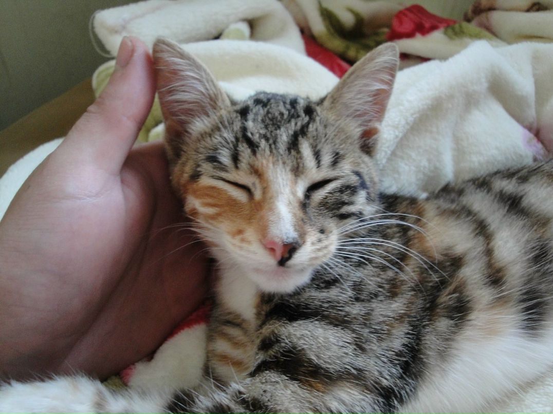 Полина Fullmoon фотография #18