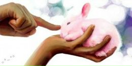 Фотография Алексеевой Оксаны