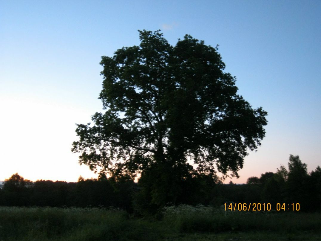 Сергей Козлов фотография #32