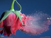 Фотография Фалиной Натальи