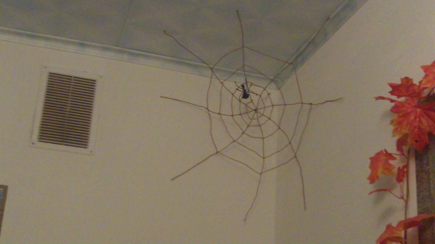 Павел Горбатенко фотография #34