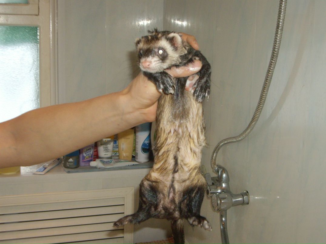 Дима Сергеевич фотография #28