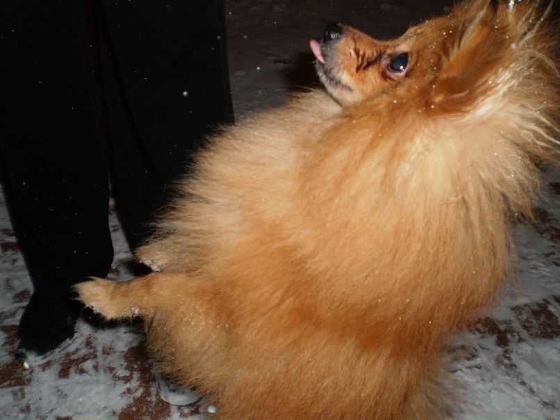 Виктор Голубенков фотография #34