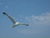 Фотография Демина Глеба