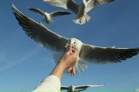 Мариам Давыдова фотография #41 (источник - https://vk.com/id900346)