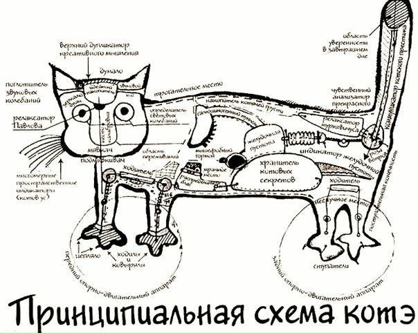 №19, Игорь, 40 лет, Санкт-Петербург №19, Игорь, 40 лет, Санкт-Петербург