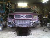 Фотография Дрозда Андрея