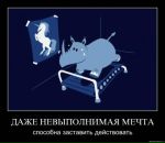 Фотография Пыхтин Андрей