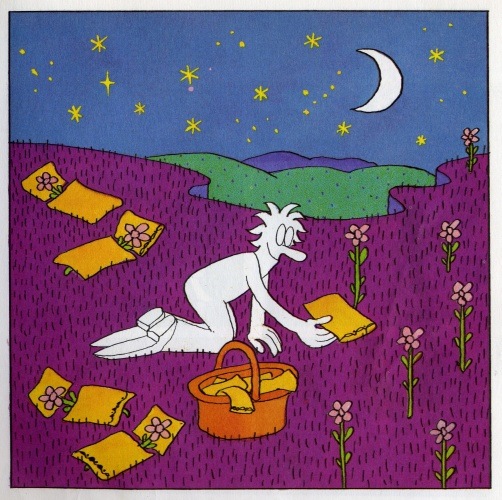 №5, Павел Дончук №5, Павел Дончук