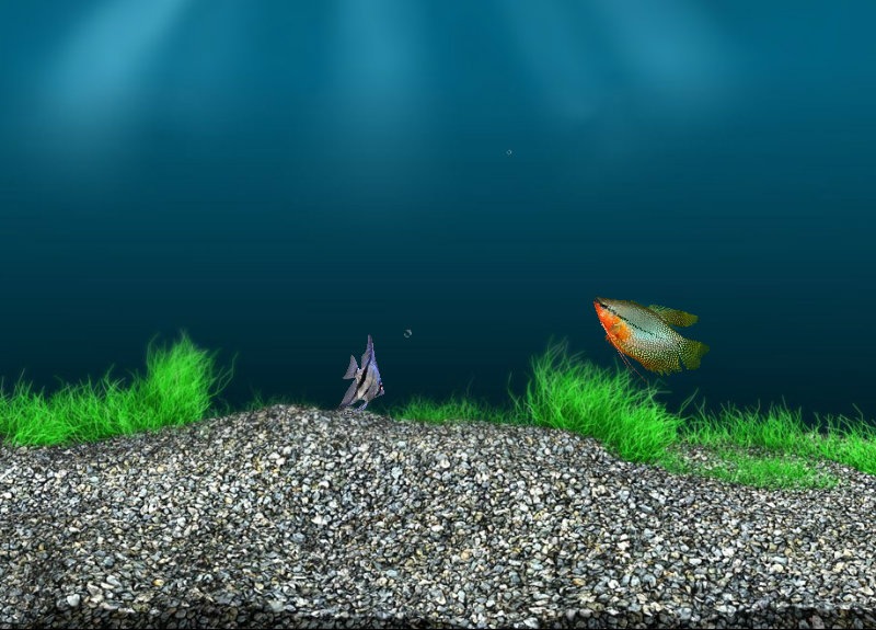 Аня Марчукова фотография #22