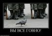  фотография #3