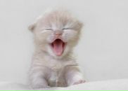 Фотография Зыкова Вадима