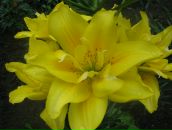 Фотография Шевцовой Евгении