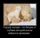 Саня Клімчук фотография #36 (источник - https://vk.com/id26842495)