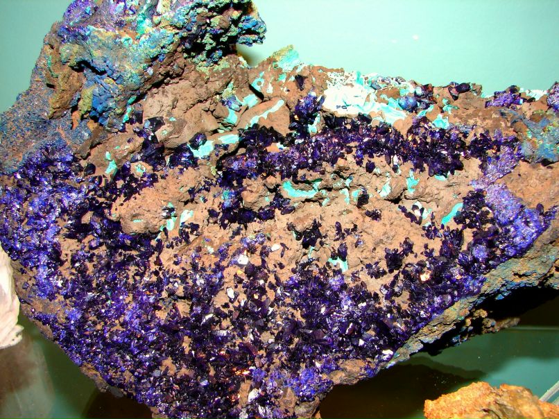 Лев Августский фотография #20