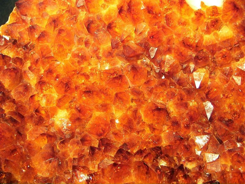 Лев Августский фотография #46