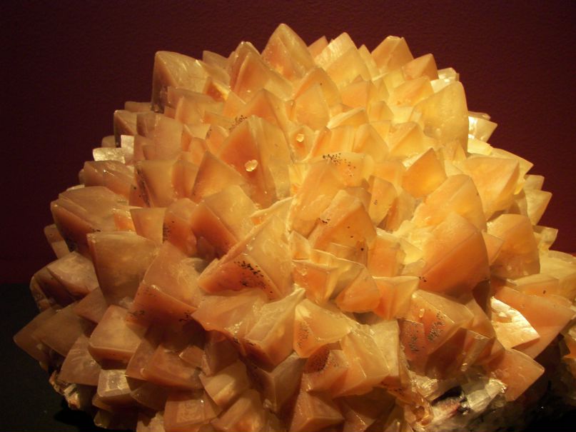 Лев Августский фотография #47