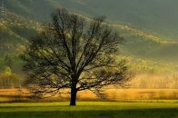 Фотография Федоровой Светланы