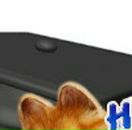 Людок Корнійчук фотография #26 (источник - https://vk.com/id21605957)