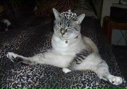 Фотография Mishina Natasha