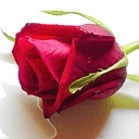 Інка Попович фотография #17 (источник - https://vk.com/id133712252)