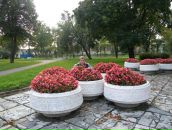 Фотография Дмитриева Сергея