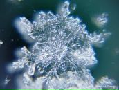 Вікторія Турчин фотография #30 (источник - https://vk.com/id10522888)