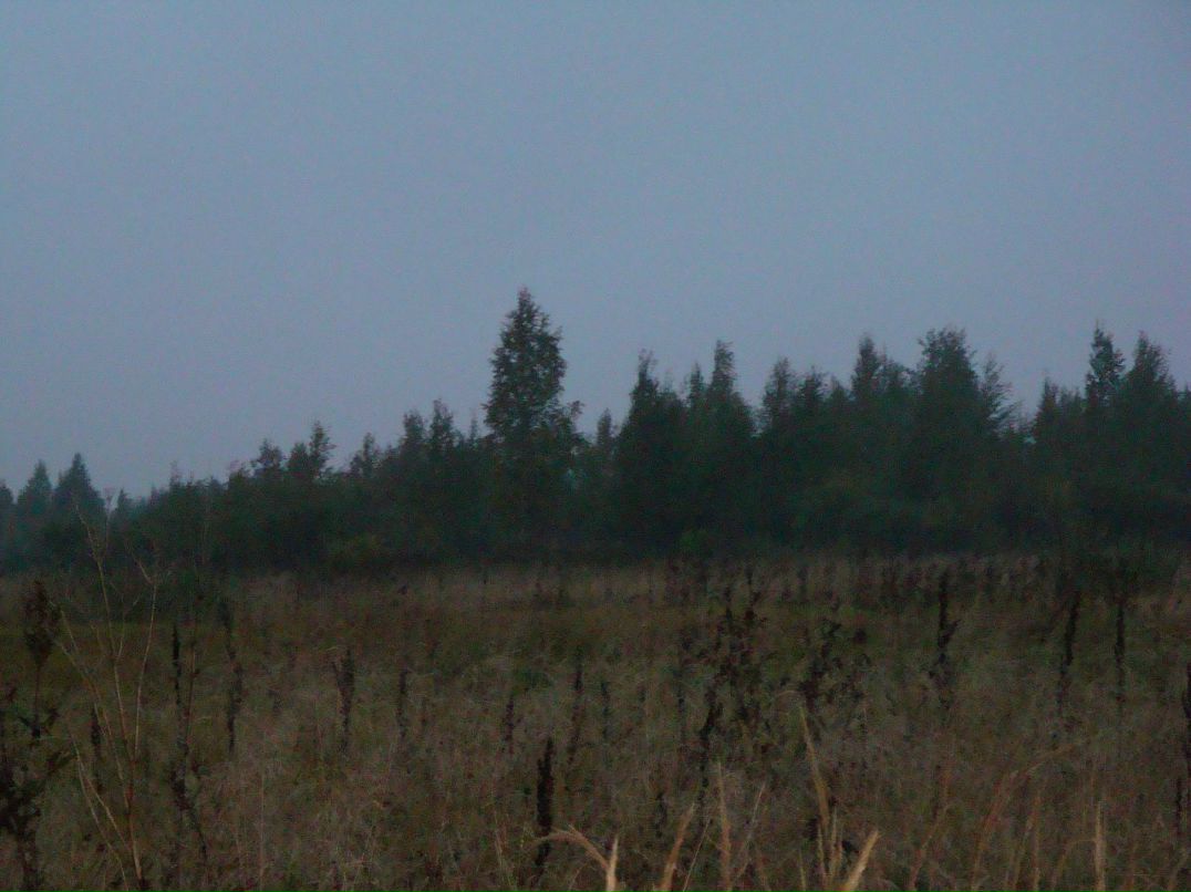 Эмма Кубло фотография #40