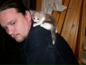 Фотография Соловьёва Алексея