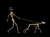 Сергій Рябов фотография #45 (источник - https://vk.com/id19220959)