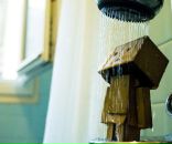 Фотография Тараниной Светланы