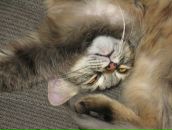 Фотография Благушиной Наталии