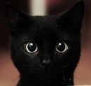 Фотография Костыненко Татьяны