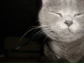 Владислав Гілюк фотография #37 (источник - https://vk.com/id68915626)