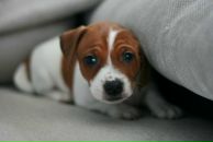 Фотография Фомичевой Екатерины