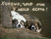 Ангеліна Чучман фотография #6 (источник - https://vk.com/id122801518)