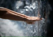 Фотография Королевой Екатерины