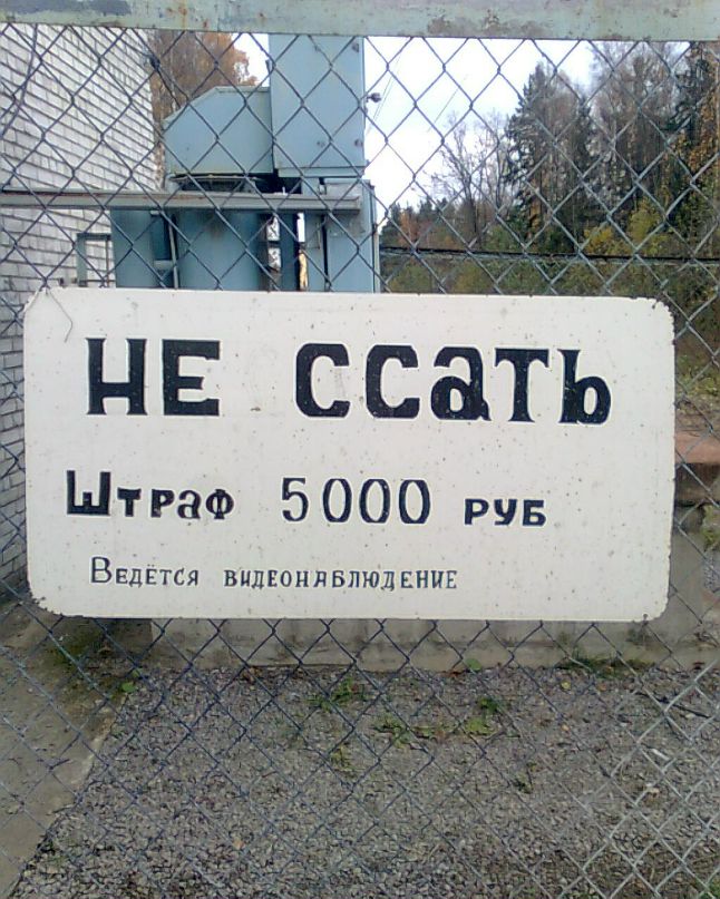 Максим Денишенко фотография #32