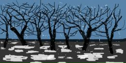 Фотография Некрасовой Анастасии